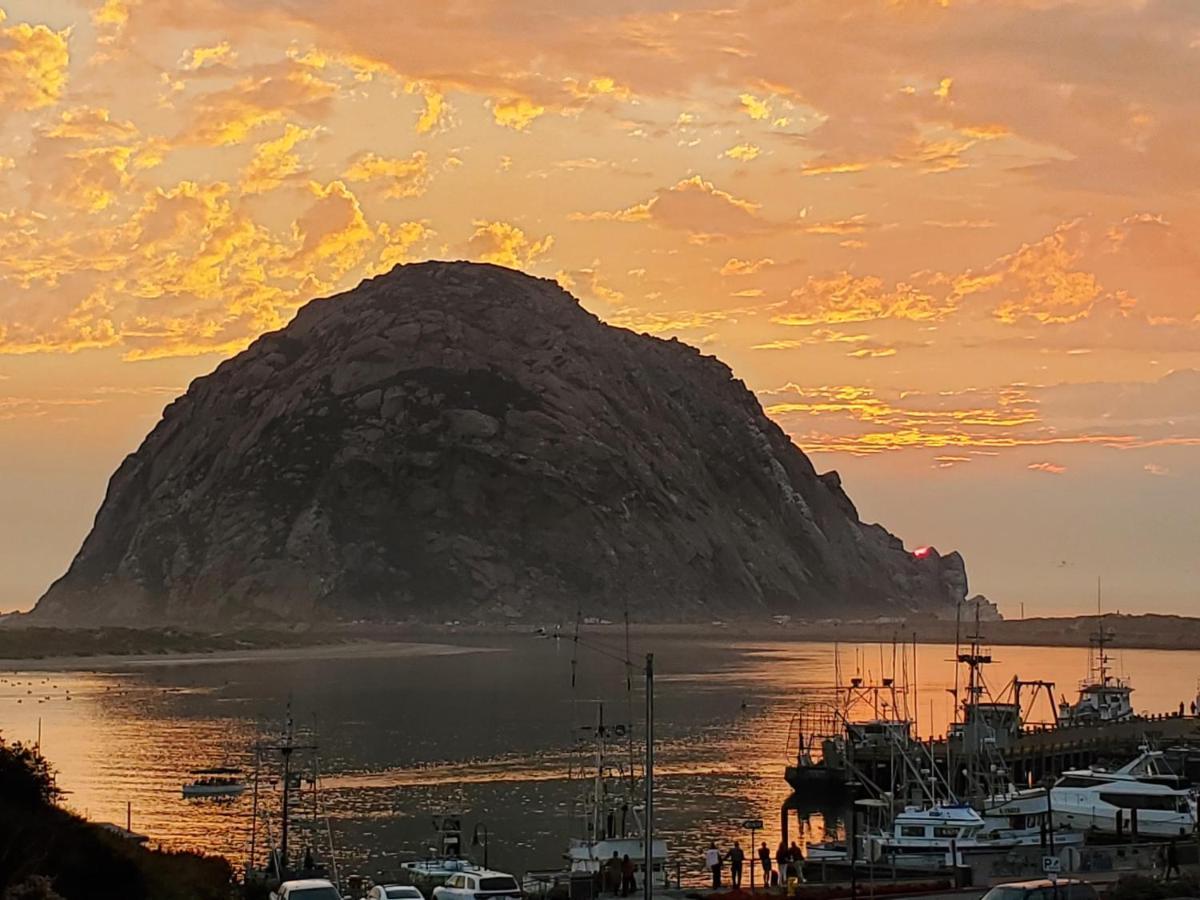 Gray's & Gallery Morro Bay