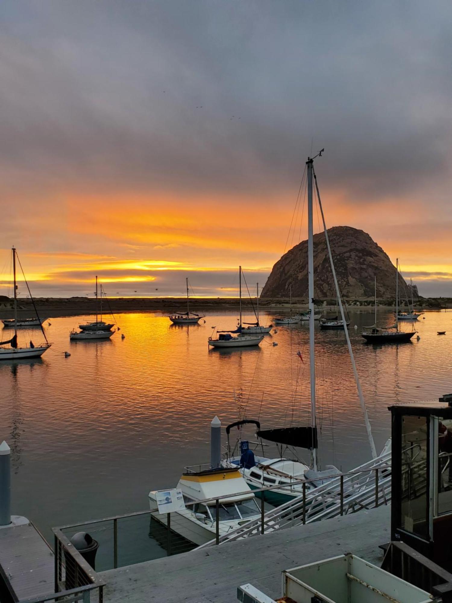 Gray's & Gallery Morro Bay